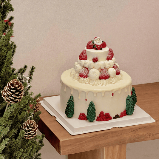 Santa Claus Strawberry Christmas Cake