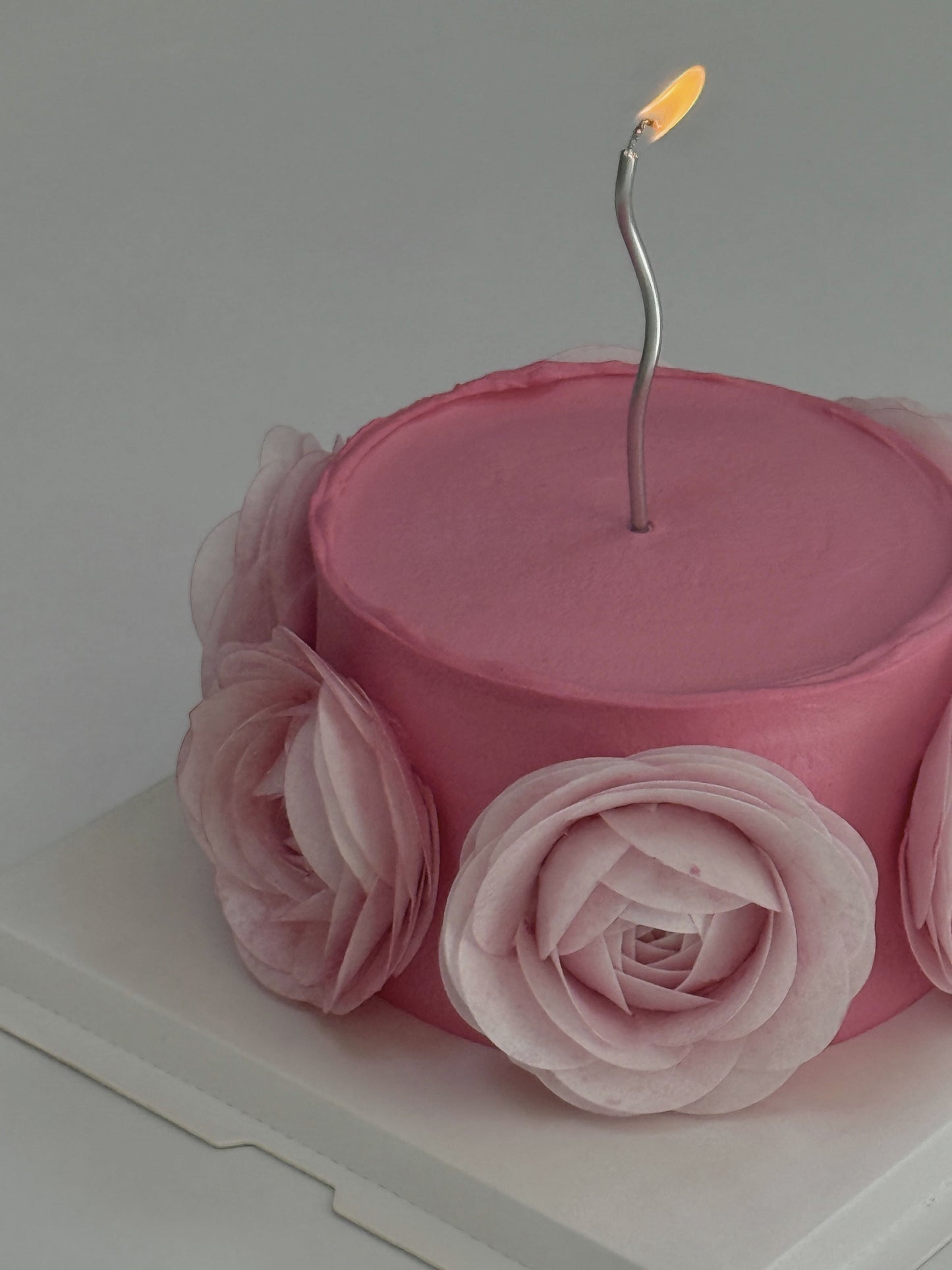Blush Camellia Romance Cake